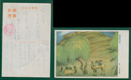 JAPAN WWII Military Camel Huailai County Picture Postcard North China CHINE WW2 JAPON GIAPPONE - 1941-45 Nordchina