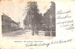 Scherpenheuvel - Montaigu - Rue Du Moulin - Anciens Fossés (molen 1901) (vaste Prijs) - Scherpenheuvel-Zichem