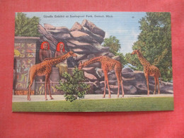 Giraffe Exhibit Detroit Zoo  Ref 4673 - Girafes