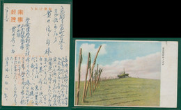 JAPAN WWII Military Ovoo Of The Mongolian Steppe Picture Postcard North China CHINE WW2 JAPON GIAPPONE - 1941-45 Northern China