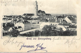 1901  -  HERZOGENBURG,  Gute Zustand, 2 Scan - Herzogenburg