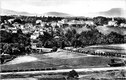 Cambo Les Bains * Vue Prise De La Propriété De Celhaya - Cambo-les-Bains