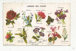 Cp , Fleurs , LANGAGE DES FLEURS , Dos Simple ,voyagée 1906 , Union Postale Universelle - Fleurs