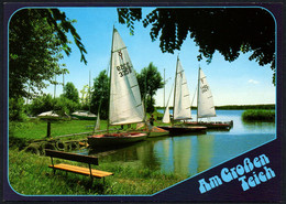 E8422 - TOP Torgau Am Großen Teich Segelboot - Bild Und Heimat Reichenbach Qualitätskarte - Torgau