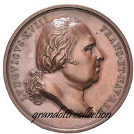 VERONA ESILIO RE LUIGI XVIII DI FRANCIA 1795 MEDAGLIA ANDRIEU - Adel