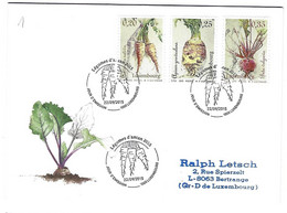 Luxembourg 2015 Legumes Vegetables Gemuse - Storia Postale