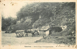 LOUVRES-entrée D'une Champignonnière - Louvres