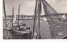 Bateaux De Pêche Du Petit Port Du Havre, Cpsm Dentelée. - Fishing Boats