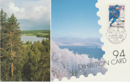 FINLAND  POST CARD FINLANDIA 95 WORLD EXHIBITION ICE HOCKEY STAMP + STOCKHOLM CITY HALL CANCELLED - Brieven En Documenten