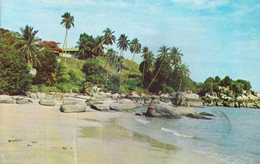 MALAYSIA : COLOUR PICTURE POST CARD : USED : BATU FERRINGHI, PENANG : COMMERCIALLY SENT TO INDIA - Malaysia