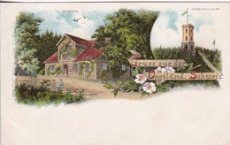 AK Gruss Aus Der Vogtländ. Schweiz - Charlottenthurm - Huthaus - Litho - Ca. 1900 (54389) - Vogtland