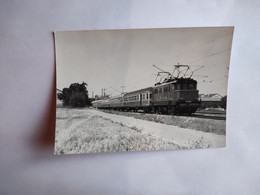 47831 -   Ludwigsburg -  Train -  Photo  12,5  X  9  -    1980 - Medan