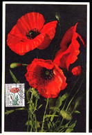 BELGIUM (1949) Field Poppy. Maximum Card With First Day Cancel. Scott No B471, Yvert No 817. - 1934-1951