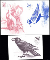 ICELAND (1981) Various Birds. Set Of 3 Maximum Cards. Scott Nos 543-5, Yvert Nos 520-2 - Cartoline Maximum