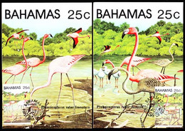 BAHAMAS (1982) Flamingos. Set Of 5 Maximum Cards With Thematic Cancel. Scott No 509, Yvert Nos 505-9. - Bahamas (1973-...)