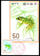 JAPAN (1976) Green Tree Frog. Maximum Card With Thematic Cancel. Scott No 1261, Yvert No 1195. - Maximum Cards