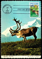 U.S.A. (1984) Caribou. Maximum Card With First Day Cancel. Scott No 2066, Yvert No 1508. - Maximumkarten (MC)