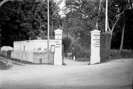 PN - 008 - ROCHECORBON - INDRE ET LOIRE - Parc De Beauregard - Original Unique - Plaques De Verre