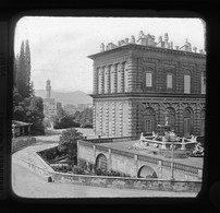 V1589 - ITALIE - FLORENCE - Vue Dans Le Jardin Boboli - Plaque Photo Originale à Ne Pas Manquer - Plaques De Verre