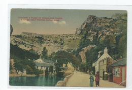 Somerset Cheddar Old Card Animated Unused The Gorge - Cheddar