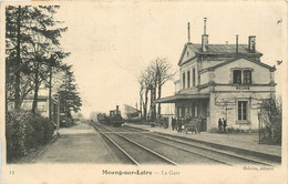 MEUNG SUR LOIRE LA GARE ARRIVEE DU TRAIN - Autres & Non Classés