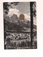 MM79 Trentino Alto Adige SAN MARTINO DI CASTROZZA Trento 1959 Viaggiata - Vipiteno