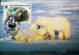 ► WWF Russia Polar Bear - Carte Maximum Card 1987 - CCCP - Usados