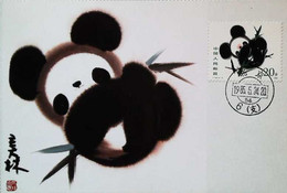 ► OURS Panda Baby Bear - Carte Maximum Card 1984 - China Beijing Post Office FDC Collection - Cartes-maximum