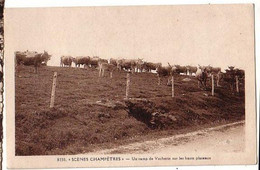 Scénes Champêtres - Un Camp De Vacherie Sur Les Hauts Plateaux - éd. Léon Margerit - - Le Bleymard