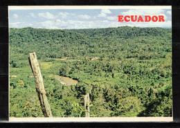 343X * ECUADOR * PANORAMIC VIEW OF THE ECUADORIAN JUNGLE **!! - Equateur