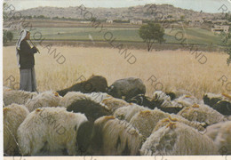 CARTOLINA  BETHLEHEM,CISGIORDANIA,PALESTINA, VIAGGIATA 1978 - Palestine