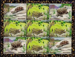 Abkhazia Turtles Marine Nature Wildlife 9v Sheet MNH - Peces