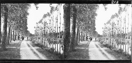 218 - LOIRET - CHATILLON COLIGNY - Bord Du Canal - 1922 - Plaques De Verre