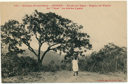 GUINEE, Région De Timbo - Le "Neri" Ou Arbre à Pain - Fortier - Guinée