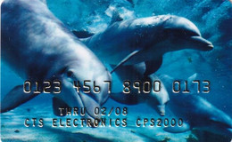 ITALY - Dolphins, Bank Card, CTS Magnetic Printing Sample - Delfini