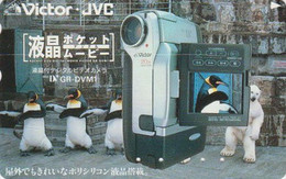 TCJAPON / 110-011 - ANIMAL - OISEAU MANCHOT & OURS Polaire Camera JVC - PENGUIN BIRD & Polar BEAR JAPAN PC - 5480 - Pinguini