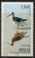 St Pierre Et Miquelon 2020 - Oiseaux, Limicole - 1 Val Neuf // Mnh - Nuovi