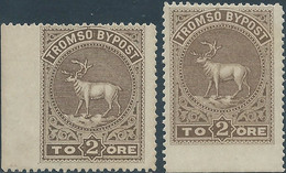 Norvegia - Norway - Norvège-Norge, Local Emissions TROMSO BY POST,TO 2 ORE ,Wide Imperf Margin, Never Hinged - Local Post Stamps