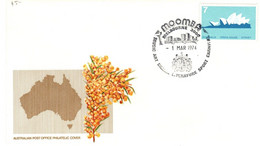 Australia PMS 39 1974   Postmark Collection ,Moomba Souvenir Cover - Poststempel