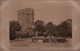 Water Tower & Roman Remains, Chester - Published By Phillipson & Golder 1910 - Chester