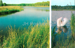 Belovezhskaya Pushcha National Park - A Man Made Lake - The Mute Swan - Birds - 1981 - Berarus USSR - Unused - Weißrussland