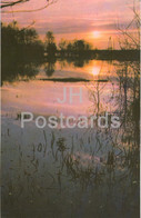 Belovezhskaya Pushcha National Park - Spring Flood At Sunset - 1981 - Berarus USSR - Unused - Weißrussland