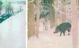 Belovezhskaya Pushcha National Park - The Wild Boar - A Forest Stream - 1981 - Berarus USSR - Unused - Belarus