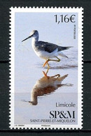 SPM Miquelon 2019 N° 1232 ** Neuf MNH Superbe Faune Oiseaux Limicole Birds Animaux - Unused Stamps