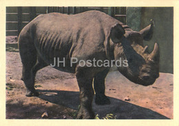 Rhinoceros - Moscow Zoo - 1963 - Russia USSR - Unused - Neushoorn