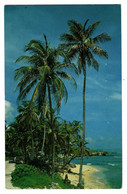 Ref 1467 - 1989 Barbados Postcard - Martin's Bay St. John - 50c Rate To UK - Barbades