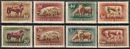 1951 Hungary Livestock Breeding: Horse, Domestic Pig, Sheep, Cattle Set (** / MNH / UMM) - Farm