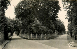 Morsang Sur Orge * Parc De Beauséjour * Avenue De Villemoisson * Et Avenue Marthe - Morsang Sur Orge