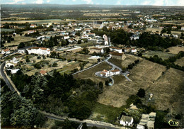 Boussay * Vue Générale Aérienne * Panorama - Boussay