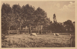 Carte Postale Glimes Incourt La Ramée Une Vue Du Jardin - Incourt